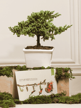 Kit Nubes En El Cielo